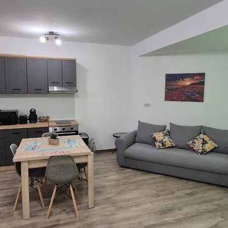 Enigma Epavei Costinești