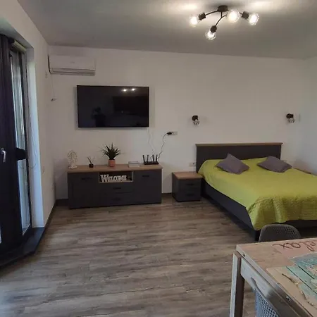 Enigma Epavei * Costinești