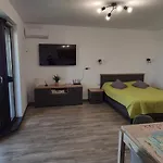 Enigma Epavei * Costinești