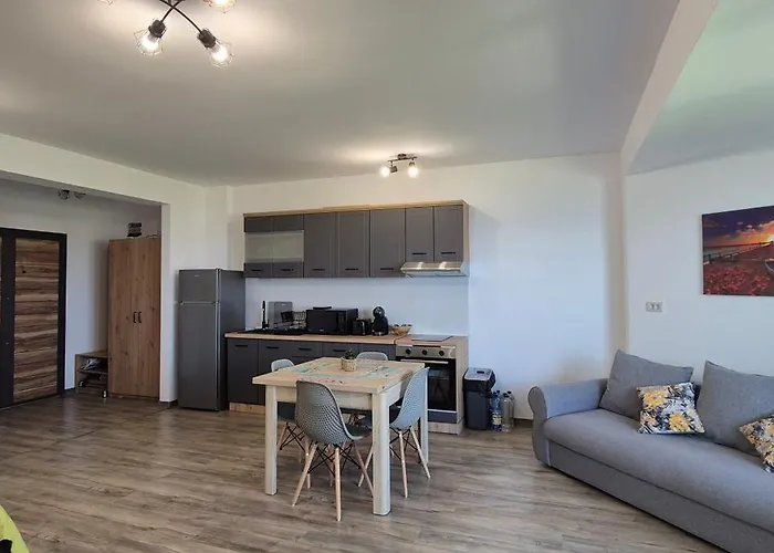 Enigma Epavei Costinesti